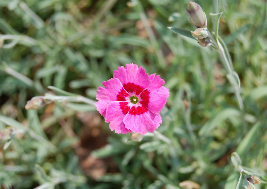 Photographie par Leasider pour DesignCrowd (Community Contests) | Design #8994378