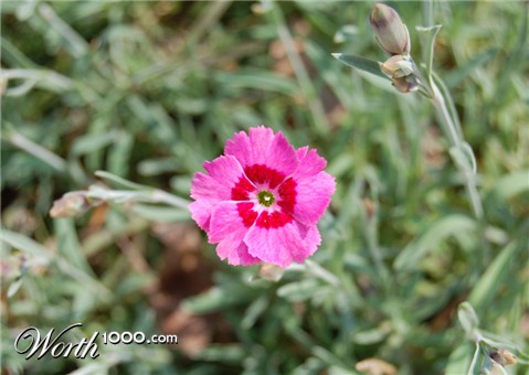 Photography by Leasider