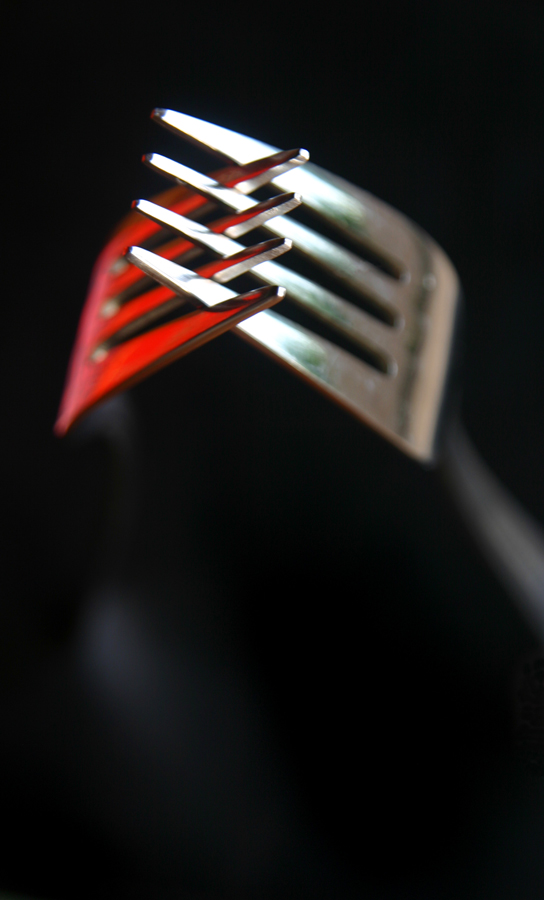 Photographie par JillianRed pour DesignCrowd (Community Contests) | Design #8997009