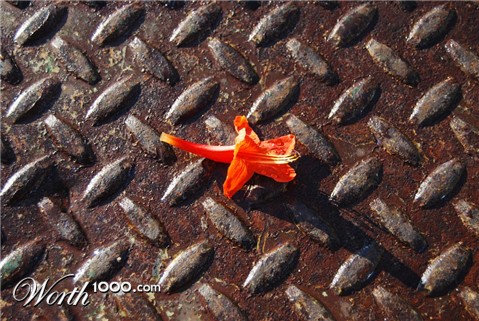 Photography by ivybabydoll