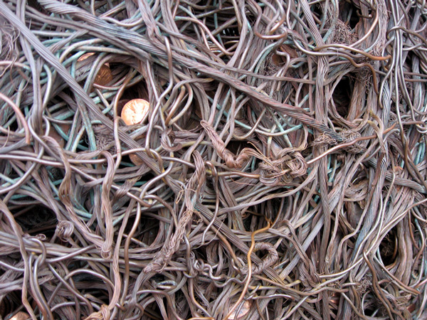 Fotografie von overblank5 für DesignCrowd (Community Contests) | Design #8994307