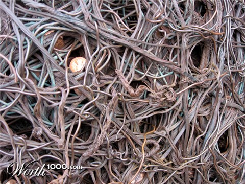 Photography by overblank5