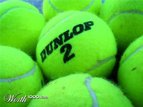 Photography by bestpicturesever