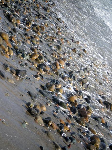 Photographie par bestpicturesever pour DesignCrowd (Community Contests) | Design #8997895