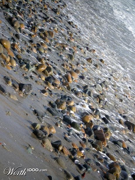 Photography by bestpicturesever