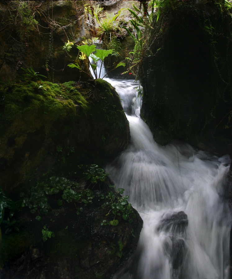 Fotografie von JillianRed für DesignCrowd (Community Contests) | Design #8994761