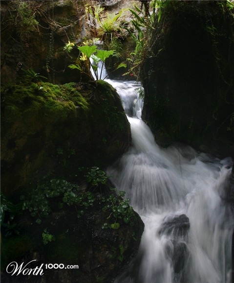 Photography by JillianRed