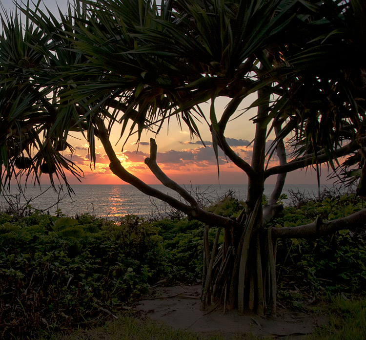 Photography by squaredd for DesignCrowd (Community Contests) | Design #8994662