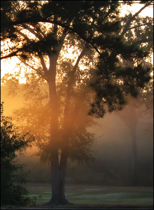 Photography by theLimeyBrit for DesignCrowd (Community Contests) | Design #8994667