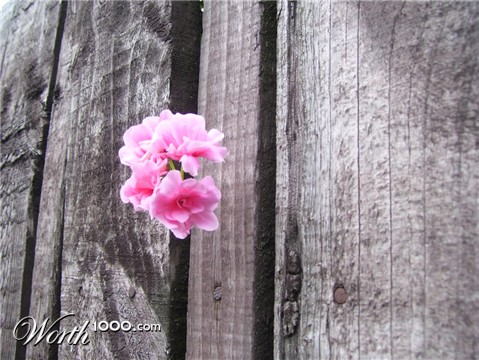 Photography by Andromeda5000