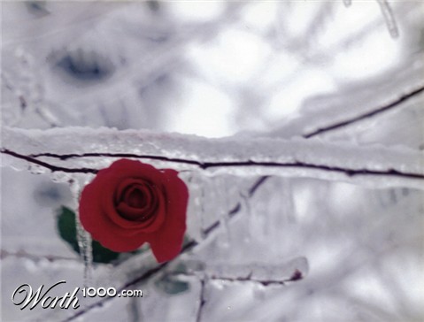 Photography by Feature