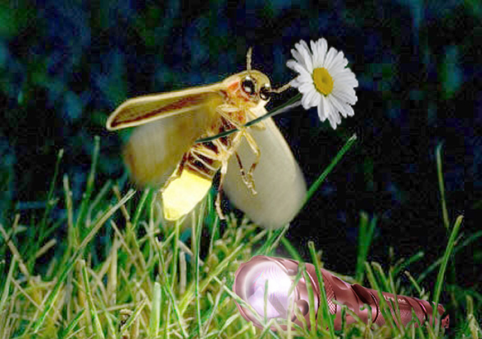 Diseño de Photoshop por aards2 para DesignCrowd (Community Contests) | Diseño #8996862