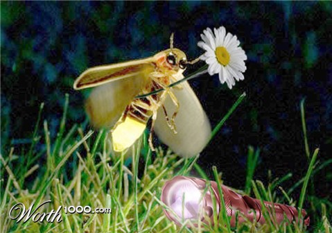 Photoshop Design by aards2