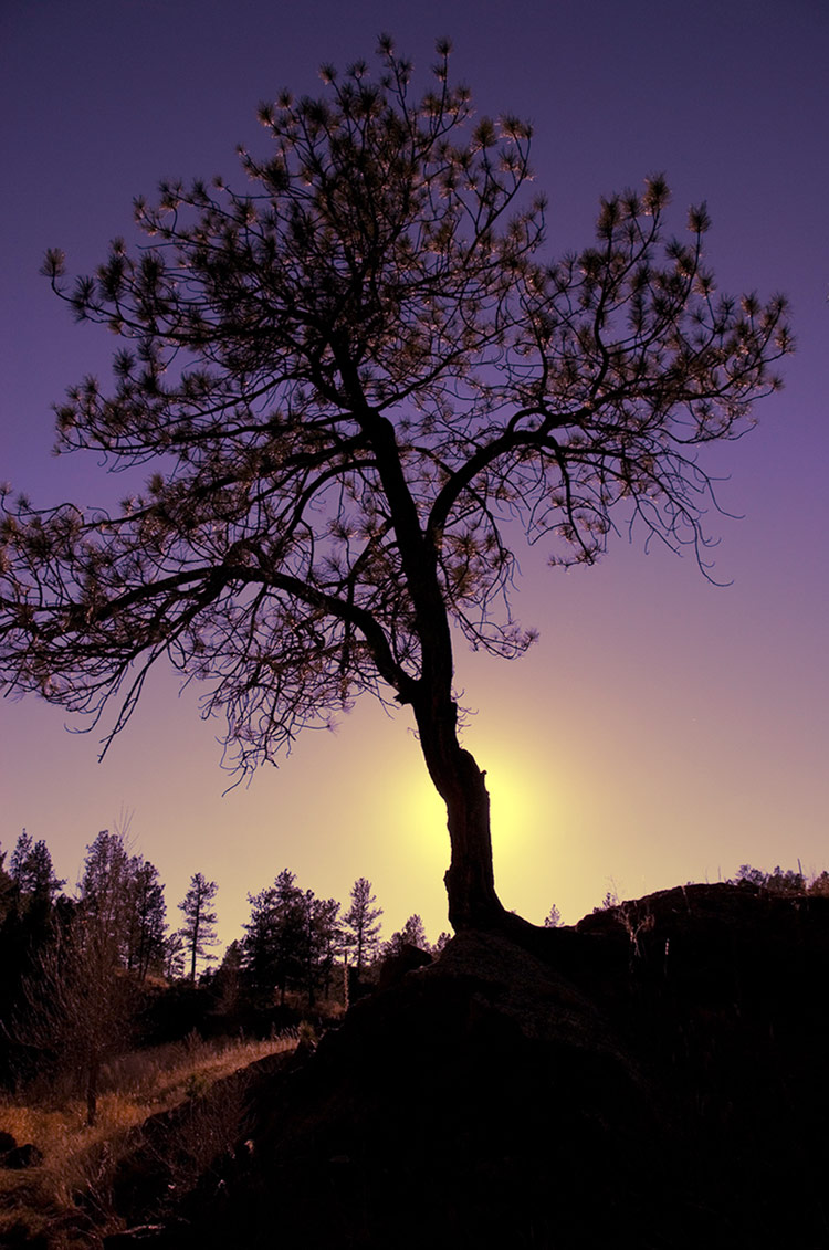 Photography by cshutt for DesignCrowd (Community Contests) | Design #8994794