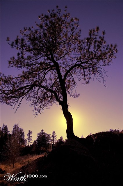 Photography by cshutt