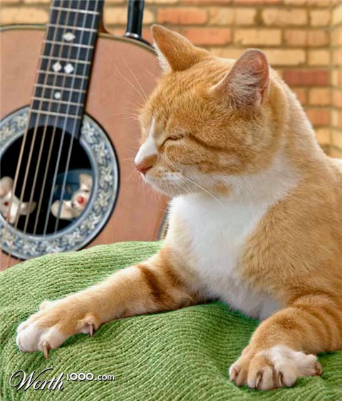 Photoshop Design by missihoule74