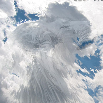 Diseño de Photoshop por leskfish para DesignCrowd (Community Contests) | Diseño #8996437