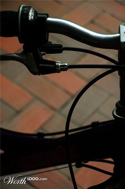 Photography by JillianRed