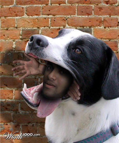 Photoshop Design by kooskoodiroo