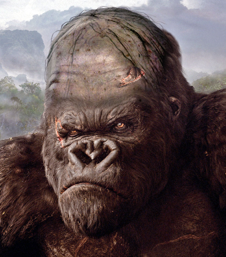 Photoshop Design by CraigMc for DesignCrowd (Community Contests) | Design #8995650