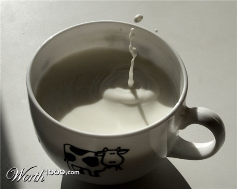 Photography by fortunefaded