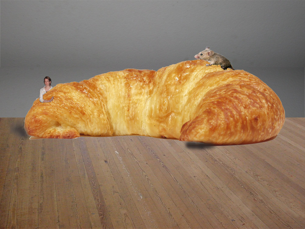 Photoshop Design by FearNLoath for DesignCrowd (Community Contests) | Design #8998878