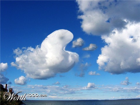 Photoshop Design by wanderc8