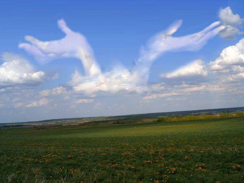 Photoshop Design by lalobot for DesignCrowd (Community Contests) | Design #8996484