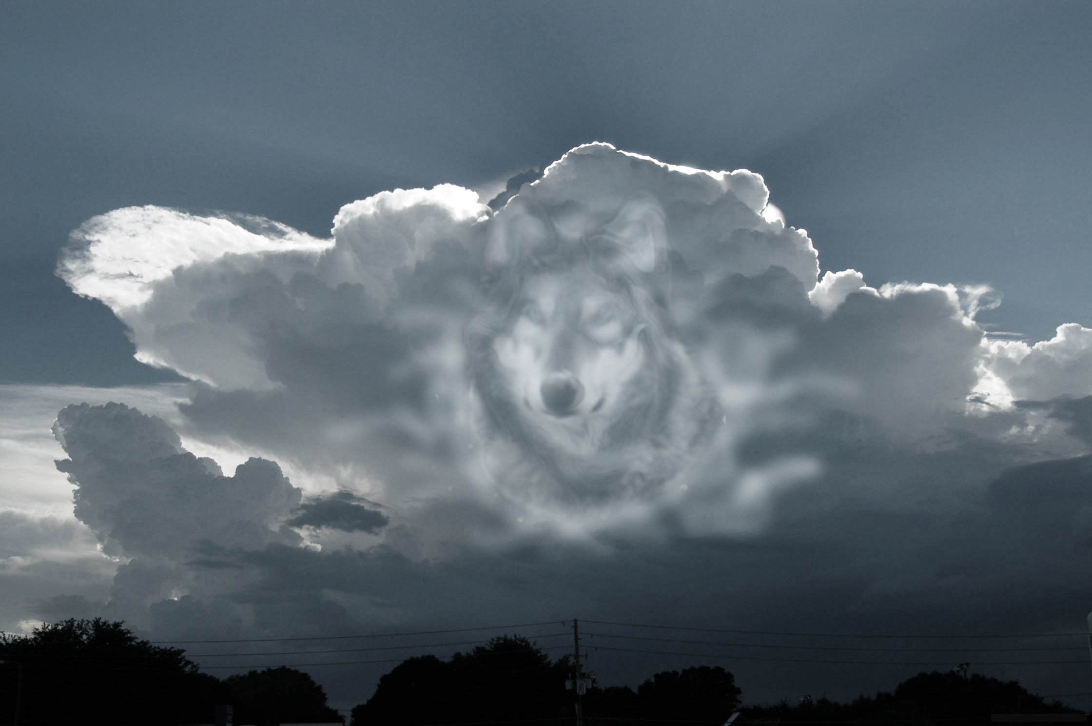 Photoshop Design by FearNLoath for DesignCrowd (Community Contests) | Design #8996511