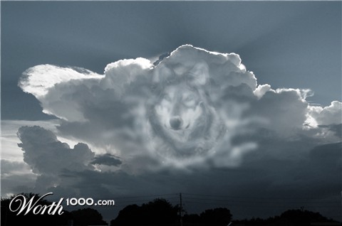 Photoshop Design by FearNLoath