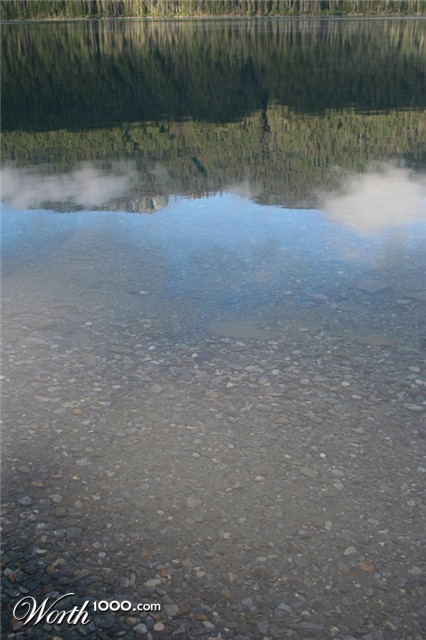 Photography by CookieMunster