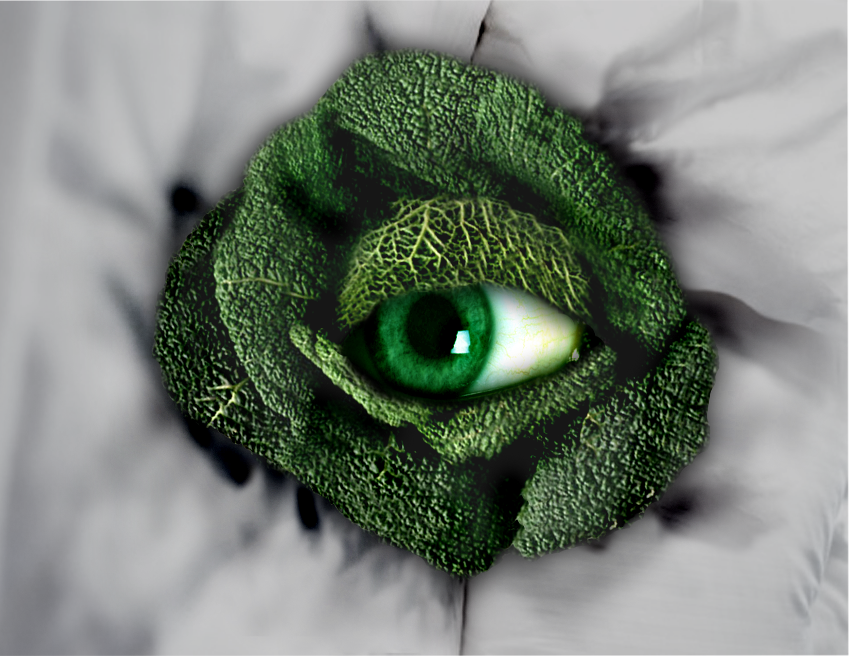Photoshop Design by moewaa for DesignCrowd (Community Contests) | Design #8994509