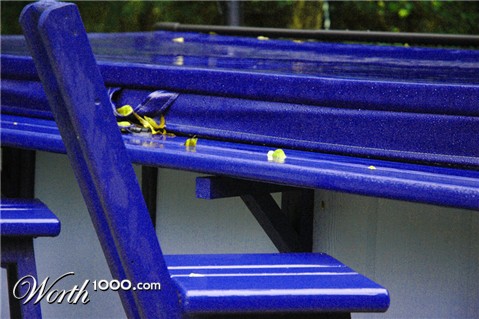 Photography by Lmorrow57