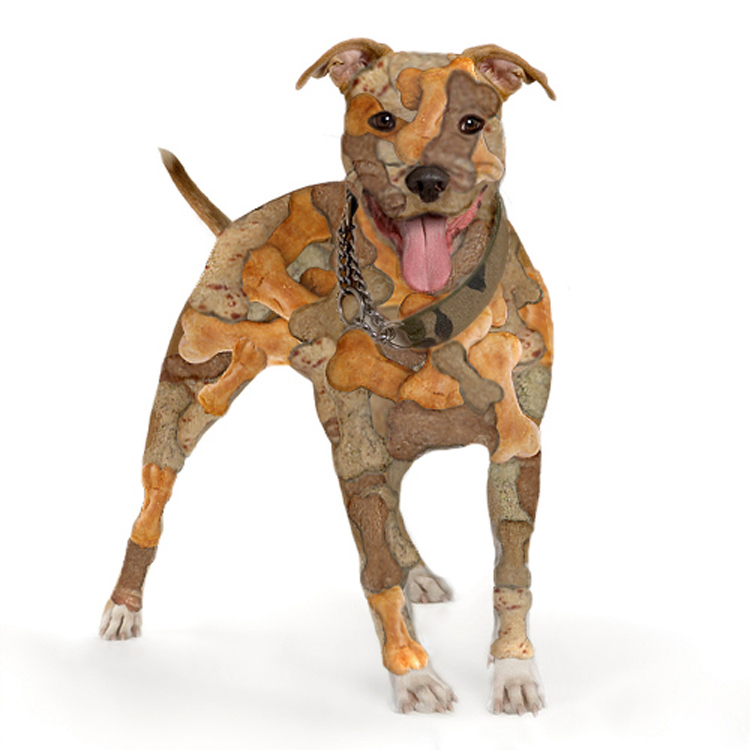 Photoshop Design by argosaries for DesignCrowd (Community Contests) | Design #8994585