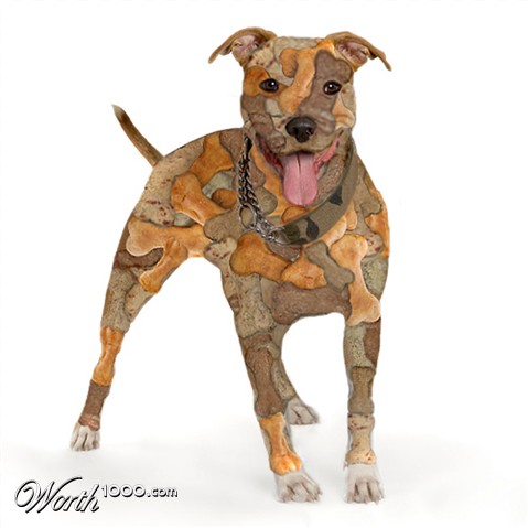 Photoshop Design by argosaries