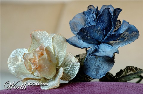 Photography by toscio