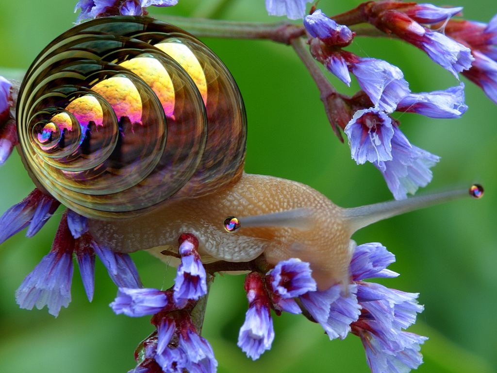 Photoshop Design by vytcheslav for DesignCrowd (Community Contests) | Design #8997524