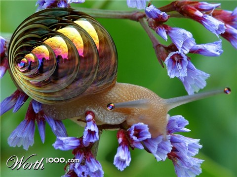 Photoshop Design by vytcheslav