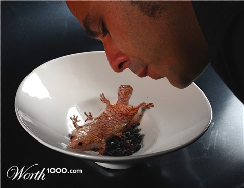 Photoshop Design by TheBrok