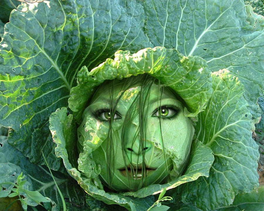 Diseño de Photoshop por zynnya para DesignCrowd (Community Contests) | Diseño #8994625