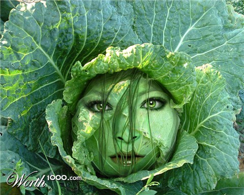 Photoshop Design by zynnya