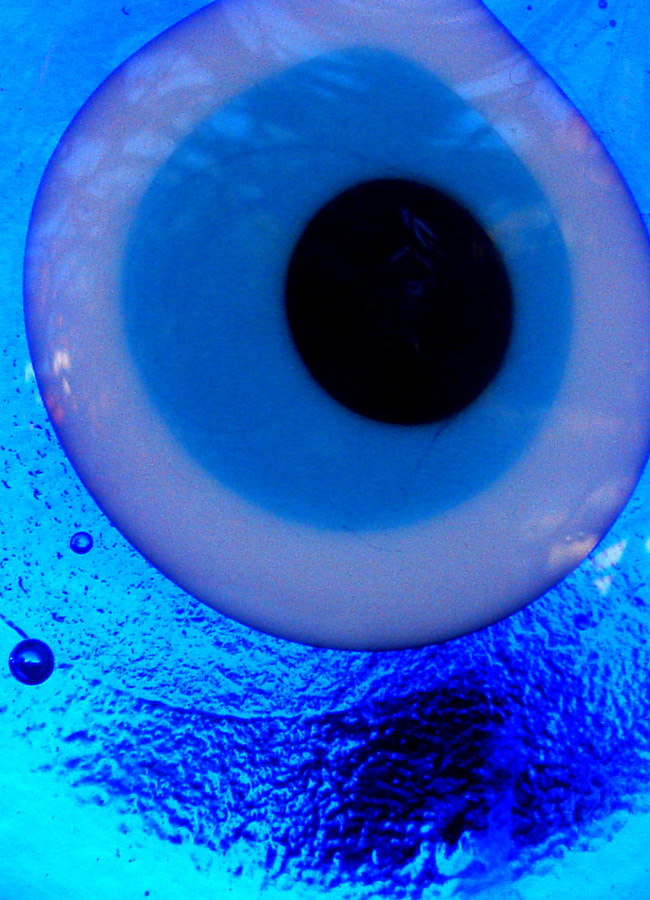 Photography by ljvgtj for DesignCrowd (Community Contests) | Design #8995410