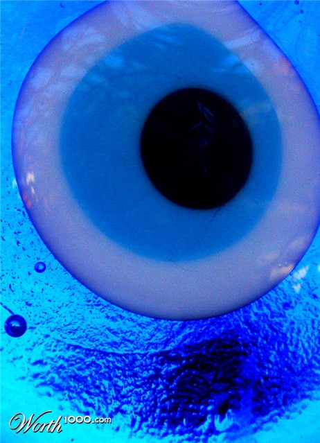 Photography by ljvgtj