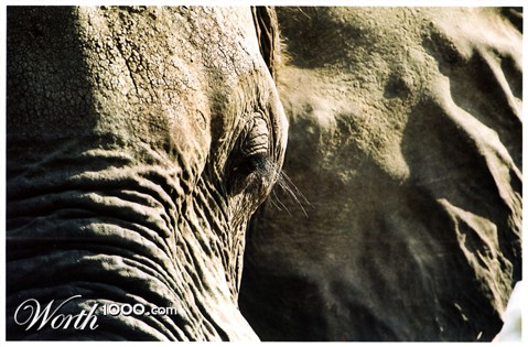 Photography by skipperw