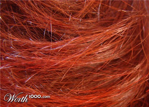 Photography by wannajo