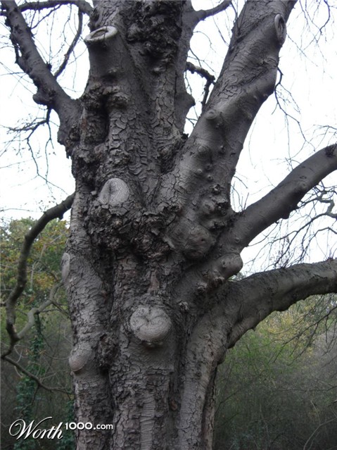 Photography by monkeyface88