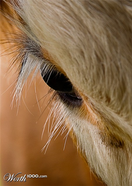 Photography by Marian