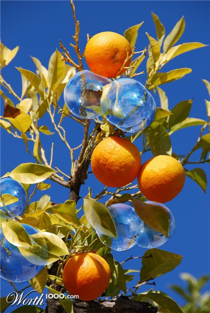 Photoshop Design by Lsgenie