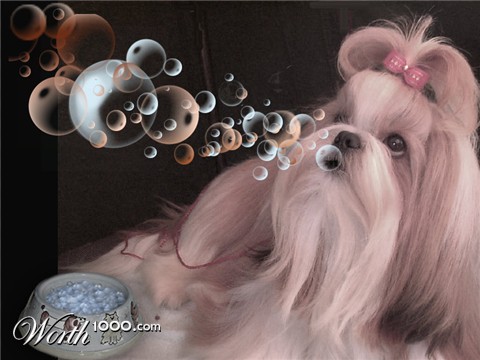 Photoshop Design by kwize53