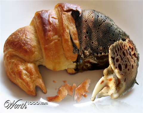 Photoshop Design by mzpresto